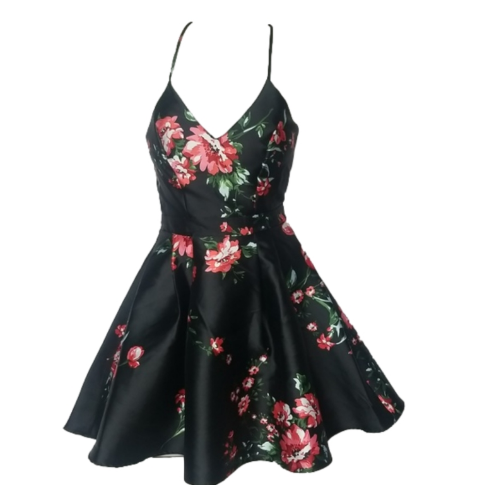 B. Smart  Dress Black Red Floral  A-Line
